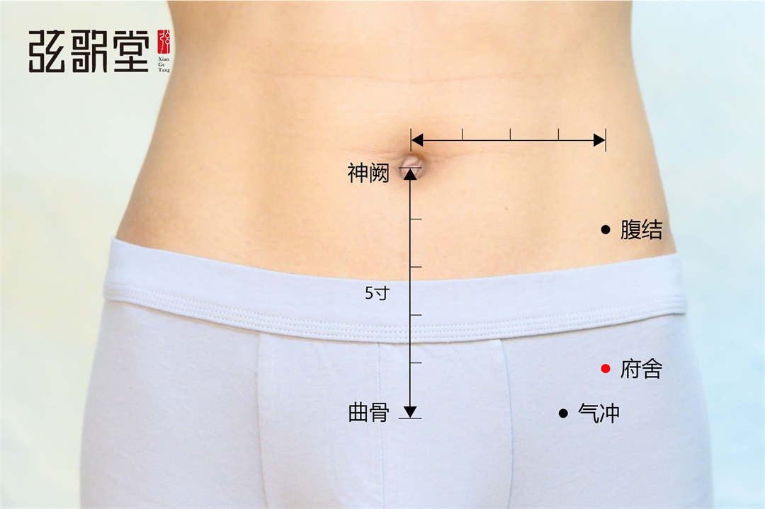 弦歌堂艾養(yǎng)生