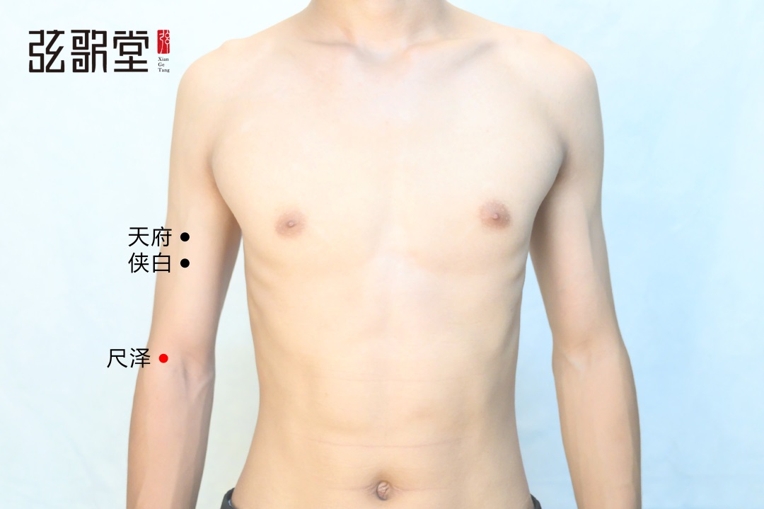 弦歌堂艾養(yǎng)生