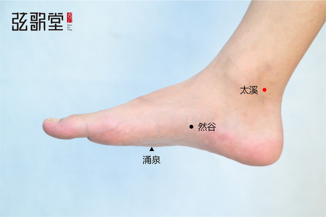 弦歌堂艾養(yǎng)生