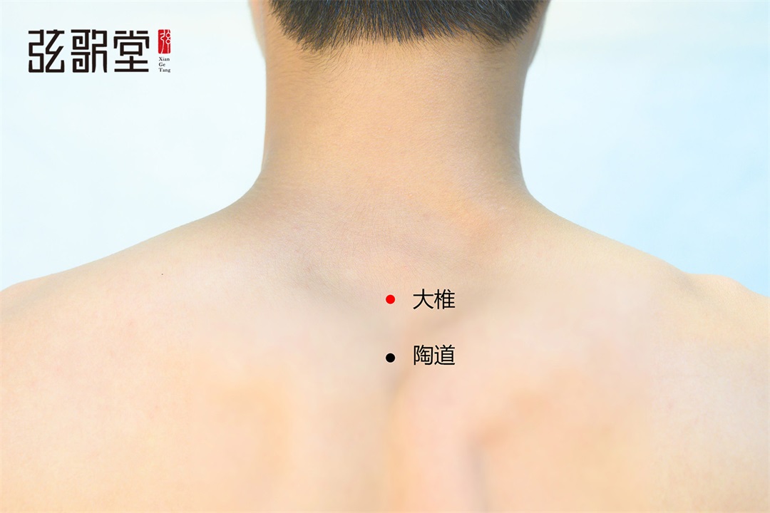 弦歌堂艾養(yǎng)生