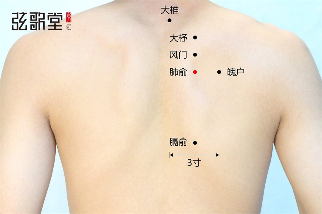 弦歌堂艾養(yǎng)生