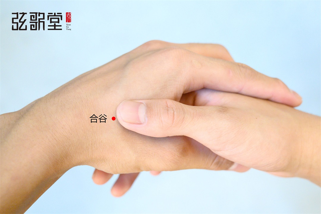 茶葉批發(fā)丨養(yǎng)生茶丨艾條的作用丨艾灸養(yǎng)生