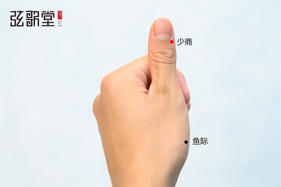 茶葉批發(fā)丨養(yǎng)生茶丨艾條的作用丨艾灸養(yǎng)生