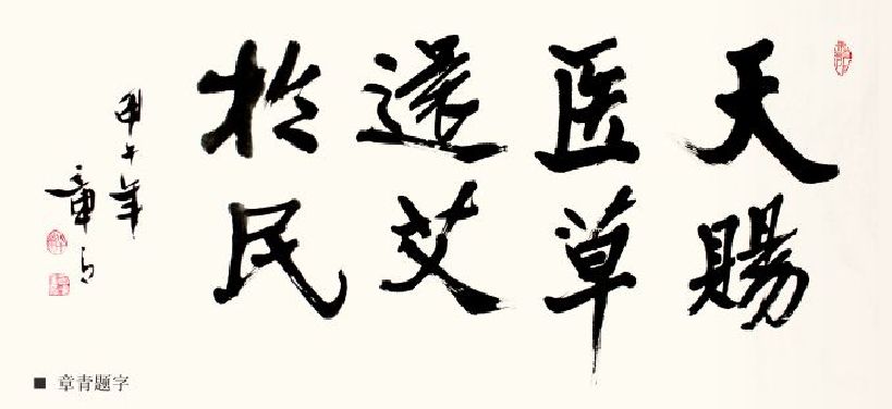 茶葉批發(fā)丨養(yǎng)生茶丨艾條的作用丨艾灸養(yǎng)生