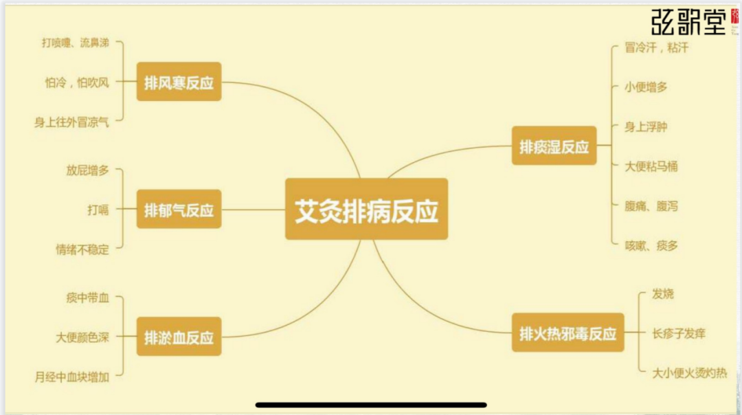 茶葉批發(fā)丨養(yǎng)生茶丨艾條的作用丨艾灸養(yǎng)生