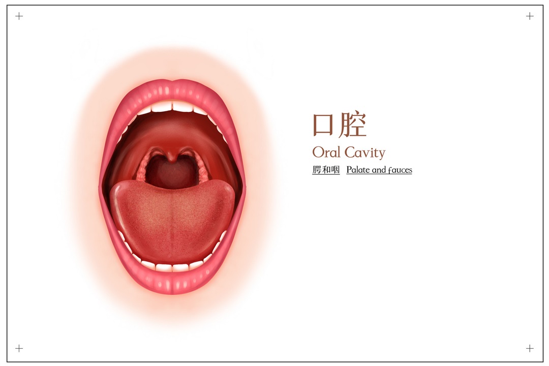 茶葉批發(fā)丨養(yǎng)生茶丨艾條的作用丨艾灸養(yǎng)生