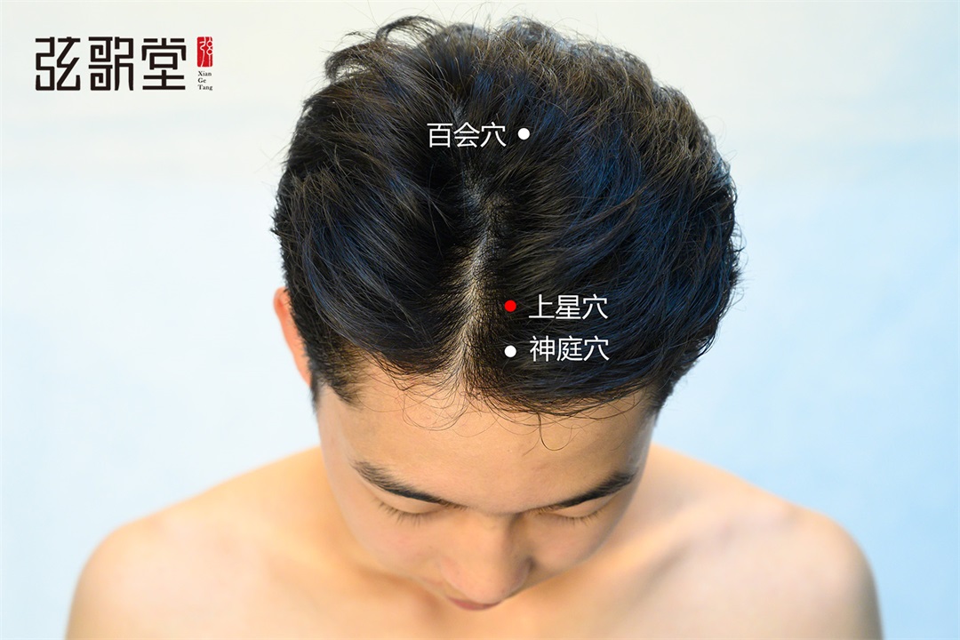 茶葉批發(fā)丨養(yǎng)生茶丨艾條的作用丨艾灸養(yǎng)生