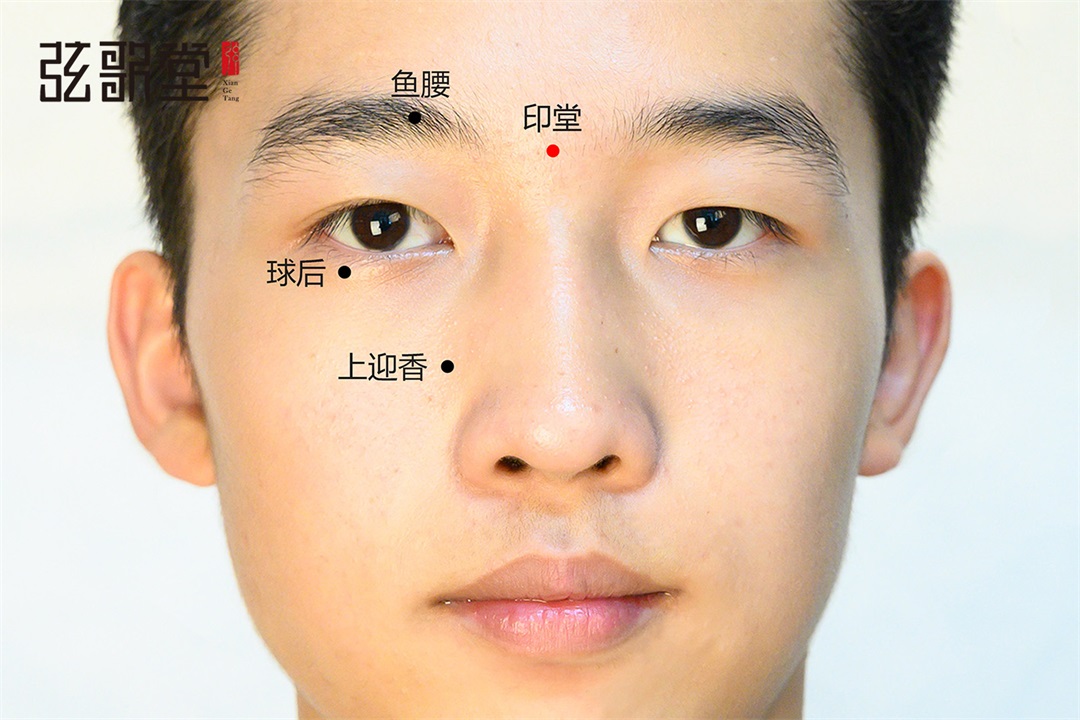 茶葉批發(fā)丨養(yǎng)生茶丨艾條的作用丨艾灸養(yǎng)生