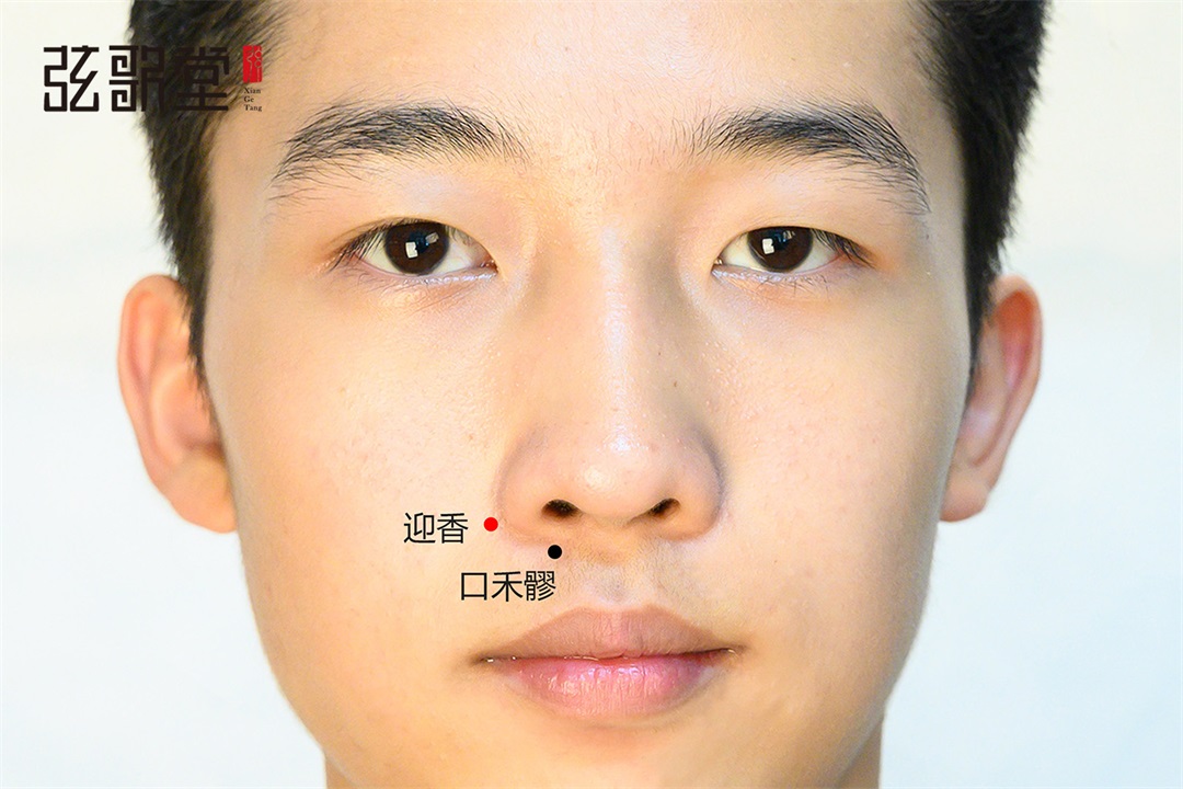 茶葉批發(fā)丨養(yǎng)生茶丨艾條的作用丨艾灸養(yǎng)生