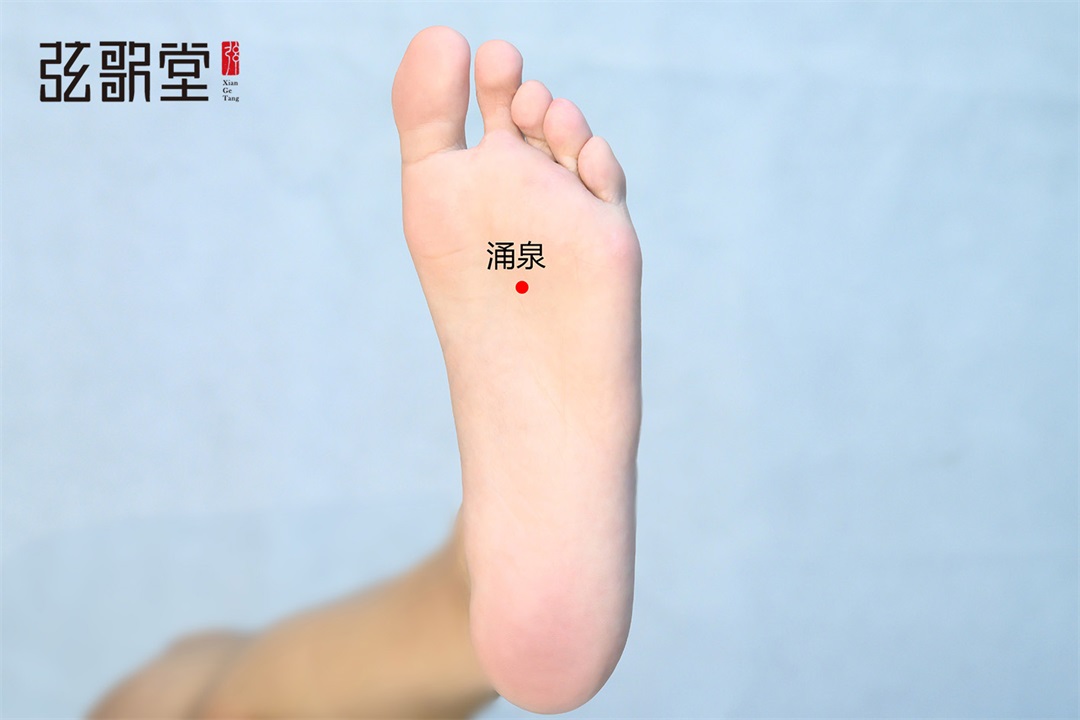 茶葉批發(fā)丨養(yǎng)生茶丨艾條的作用丨艾灸養(yǎng)生