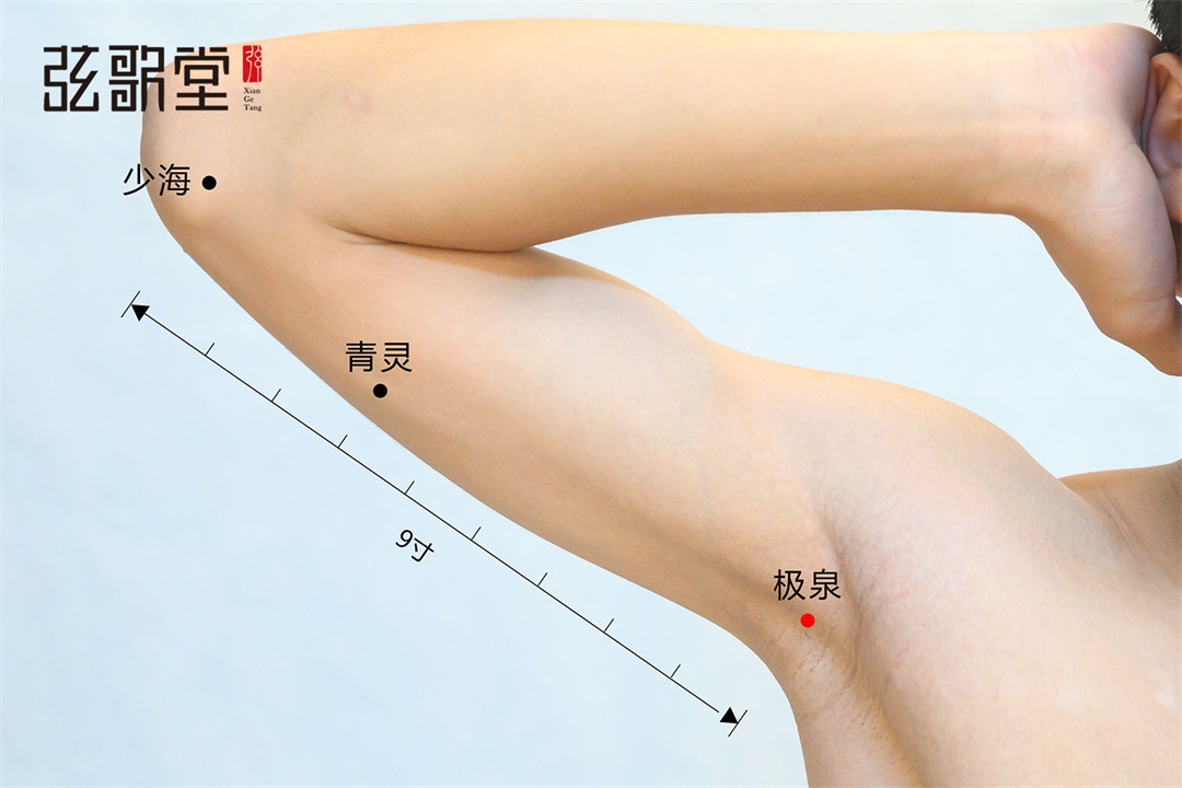 茶葉批發(fā)丨養(yǎng)生茶丨艾條的作用丨艾灸養(yǎng)生