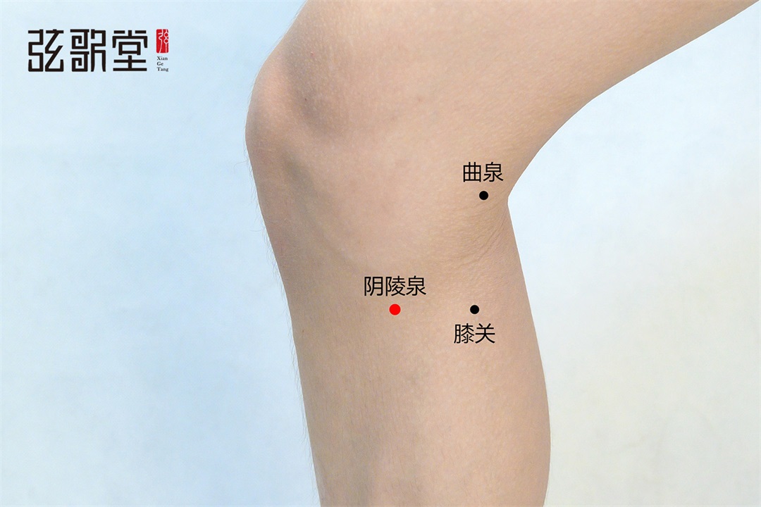 茶葉批發(fā)丨養(yǎng)生茶丨艾條的作用丨艾灸養(yǎng)生