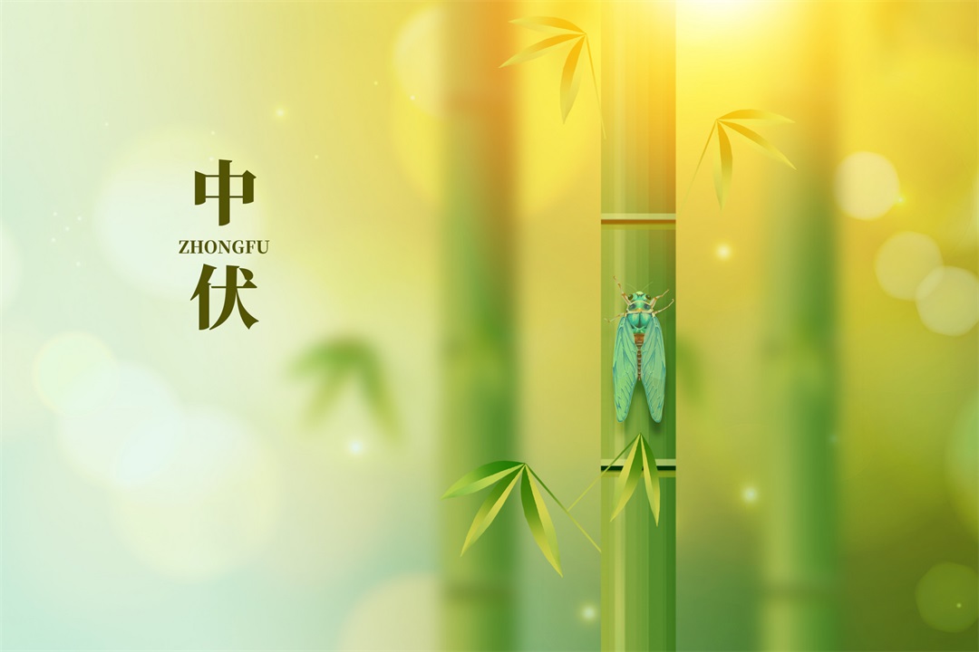 茶葉批發(fā)丨養(yǎng)生茶丨艾條的作用丨艾灸養(yǎng)生