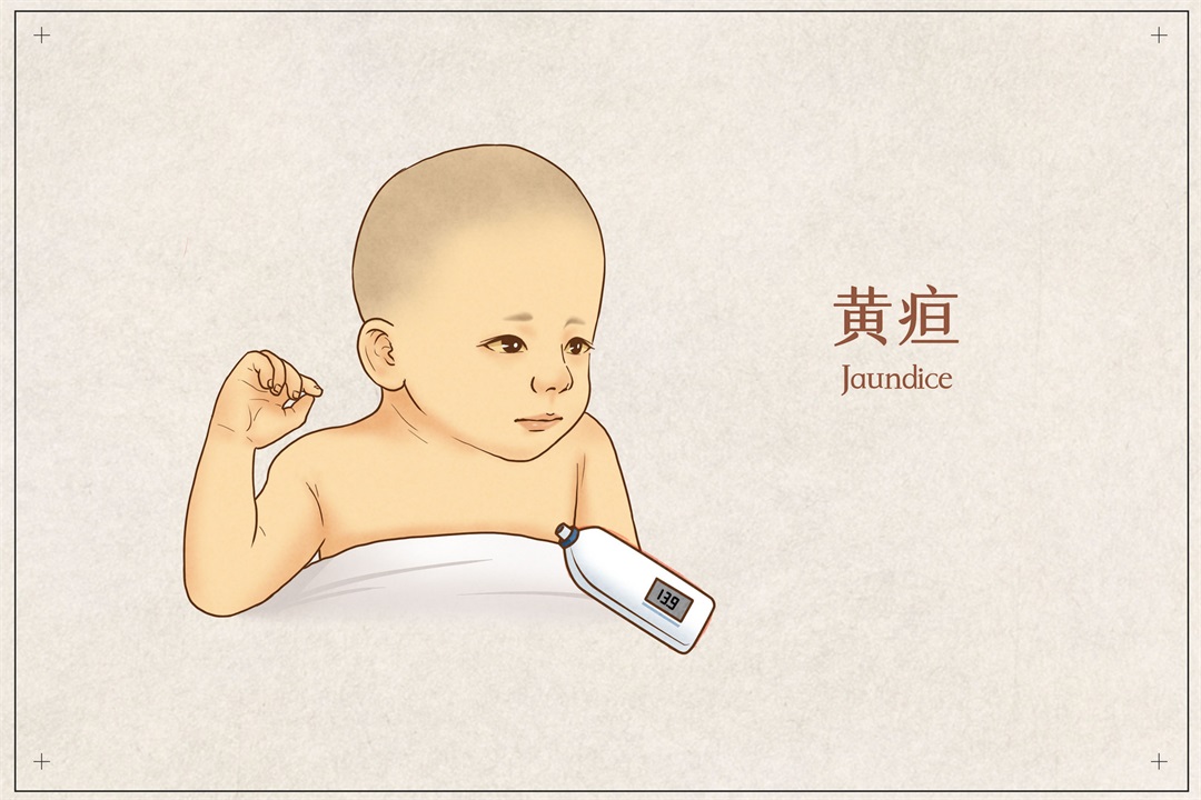 茶葉批發(fā)丨養(yǎng)生茶丨艾條的作用丨艾灸養(yǎng)生