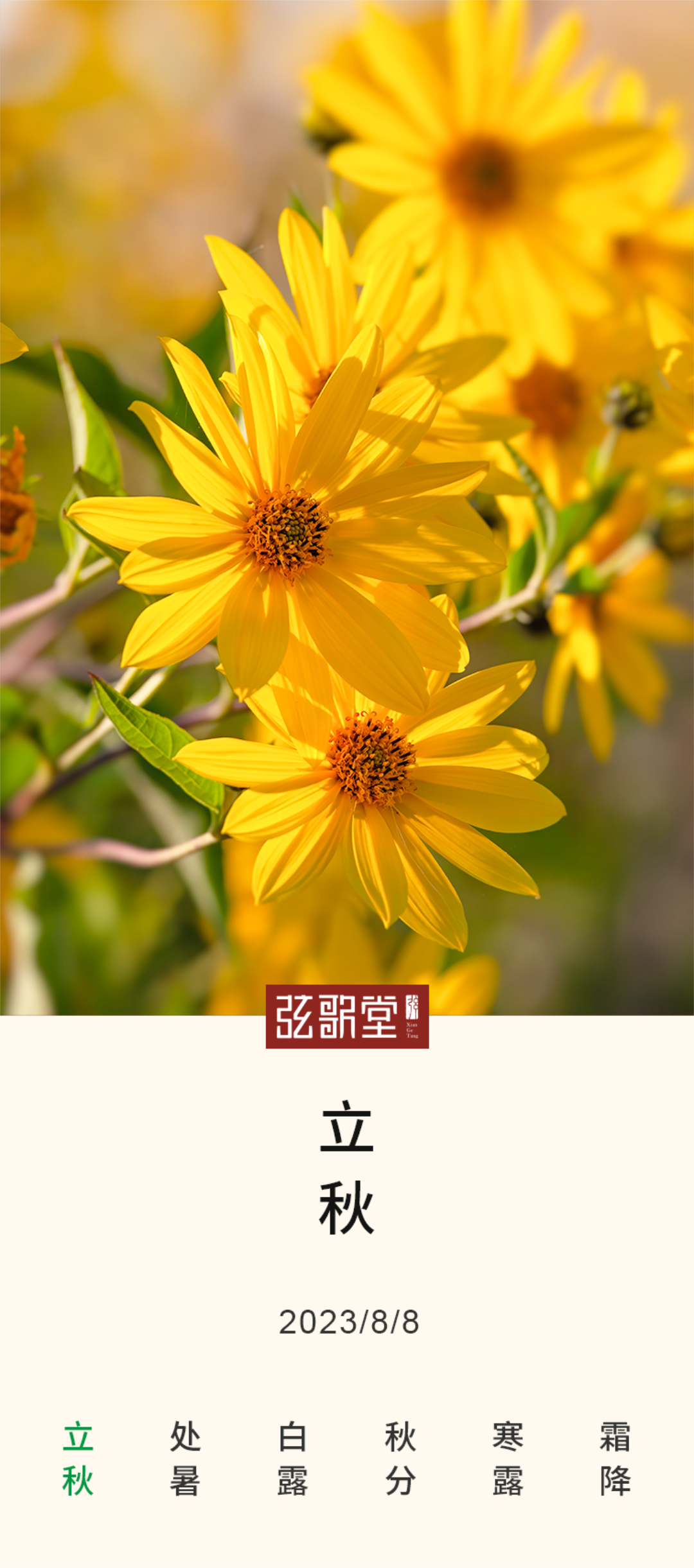 茶葉批發(fā)丨養(yǎng)生茶丨艾條的作用丨艾灸養(yǎng)生