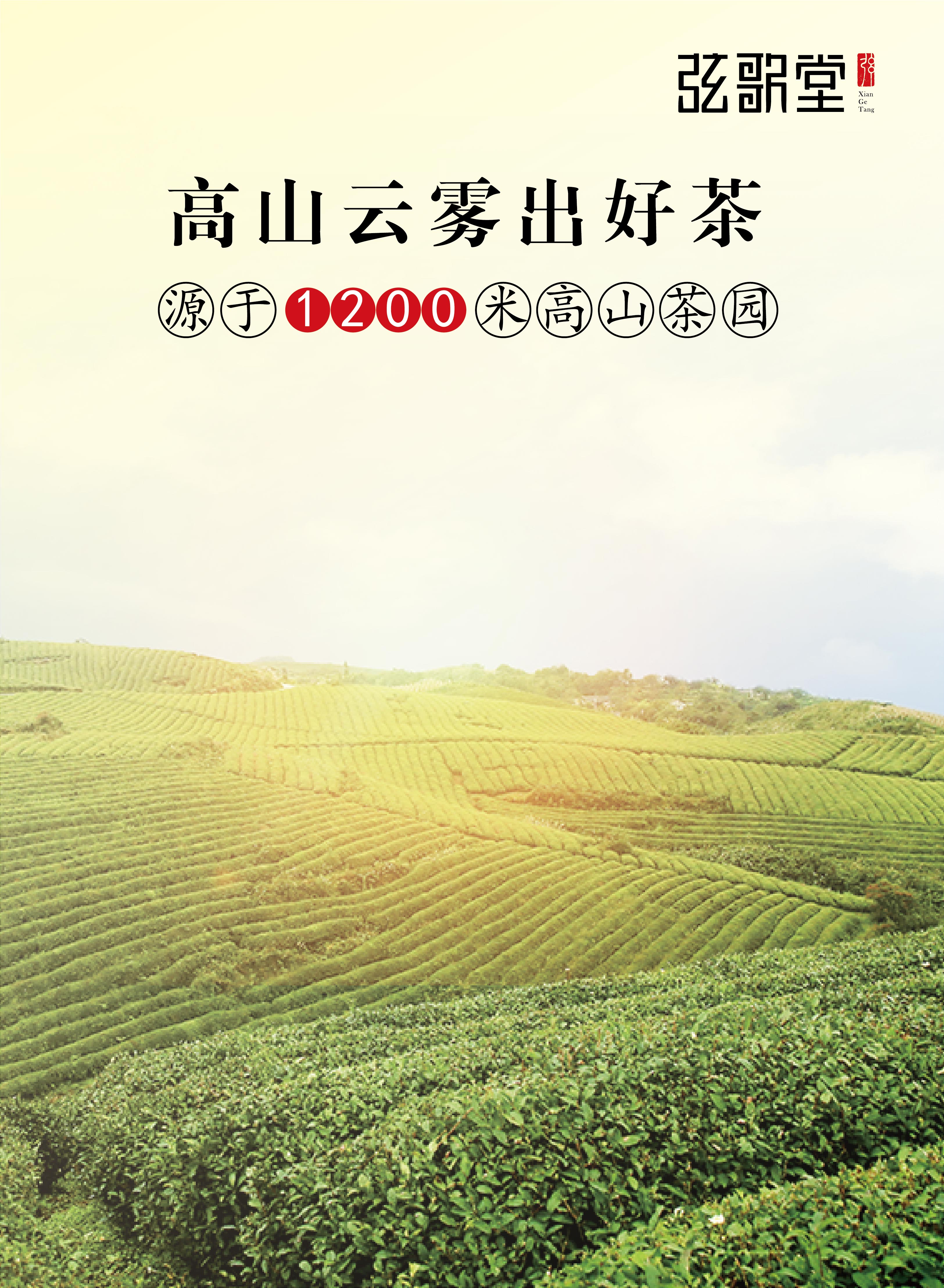 茶葉批發(fā)丨養(yǎng)生茶丨艾條的作用丨艾灸養(yǎng)生