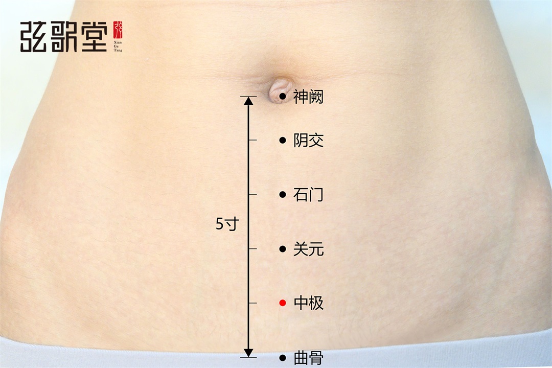 茶葉批發(fā)丨養(yǎng)生茶丨艾條的作用丨艾灸養(yǎng)生