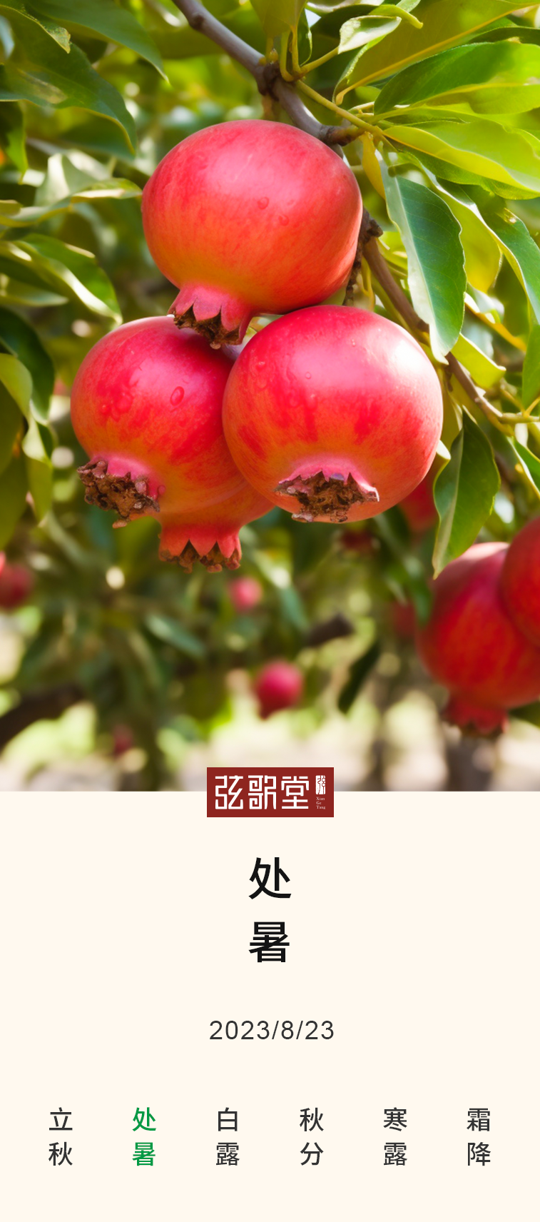 茶葉批發(fā)丨養(yǎng)生茶丨艾條的作用丨艾灸養(yǎng)生