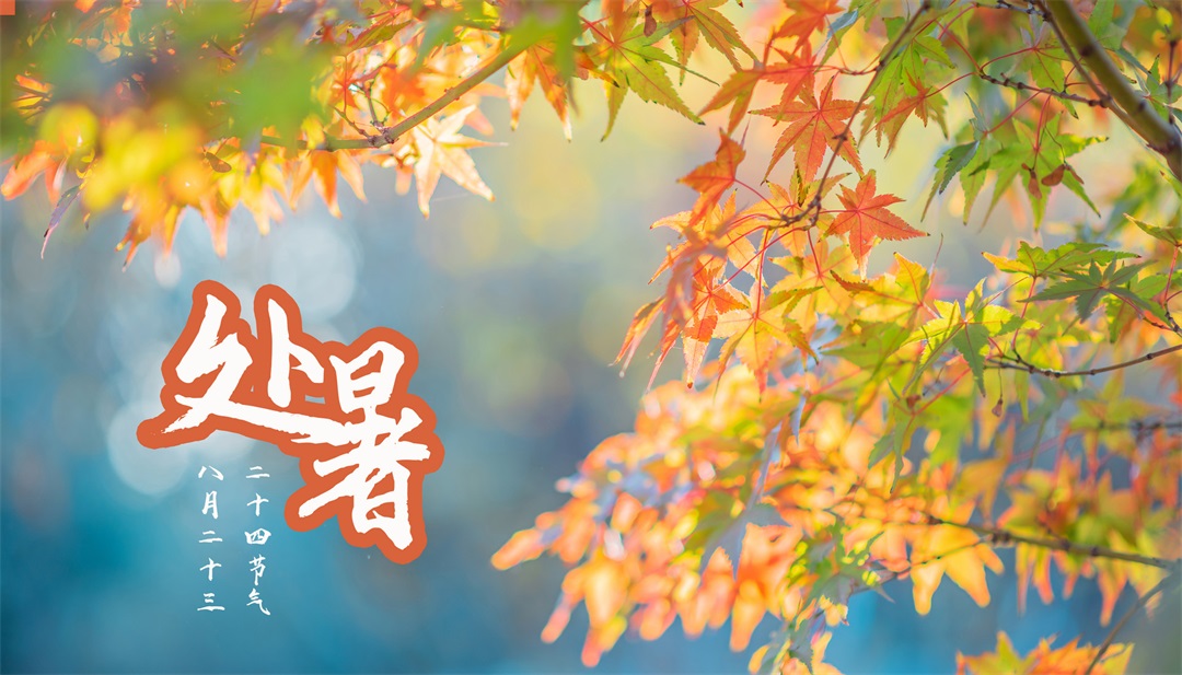 茶葉批發(fā)丨養(yǎng)生茶丨艾條的作用丨艾灸養(yǎng)生