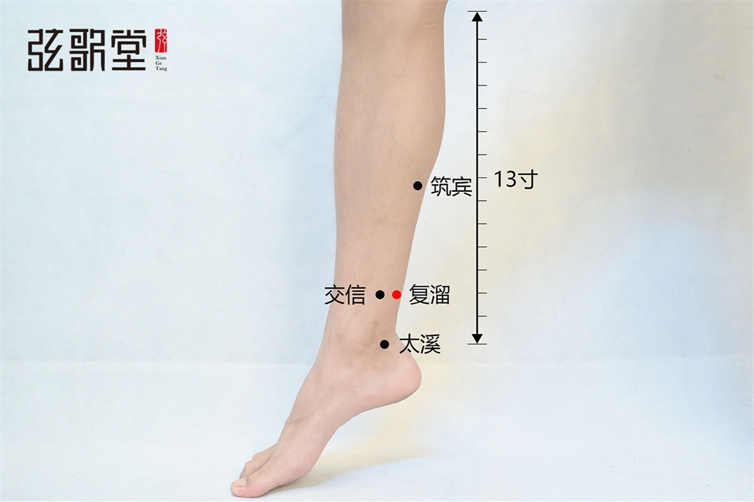 茶葉批發(fā)丨養(yǎng)生茶丨艾條的作用丨艾灸養(yǎng)生