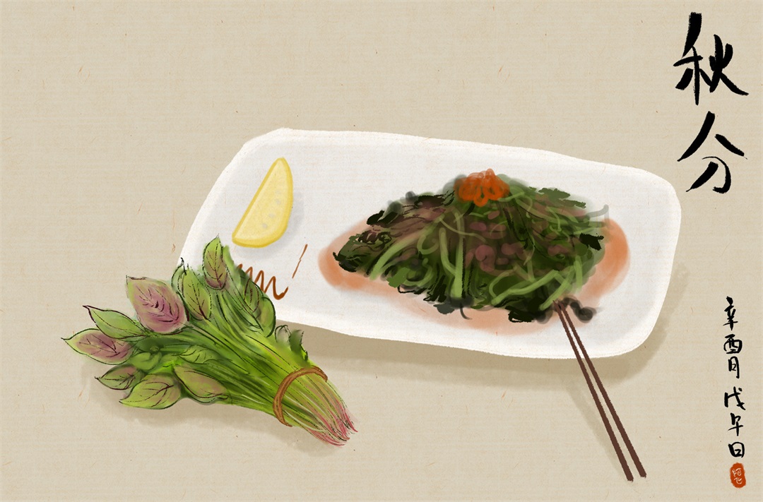 茶葉批發(fā)丨養(yǎng)生茶丨艾條的作用丨艾灸養(yǎng)生