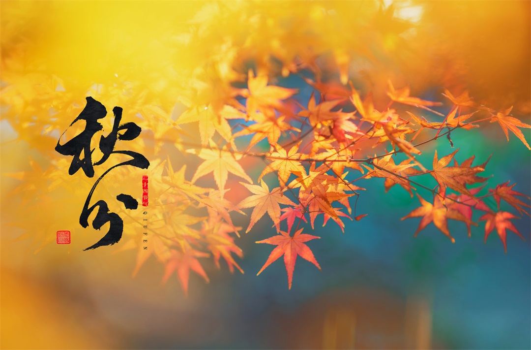 茶葉批發(fā)丨養(yǎng)生茶丨艾條的作用丨艾灸養(yǎng)生
