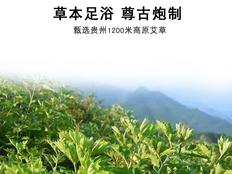 茶葉批發(fā)丨養(yǎng)生茶丨艾條的作用丨艾灸養(yǎng)生