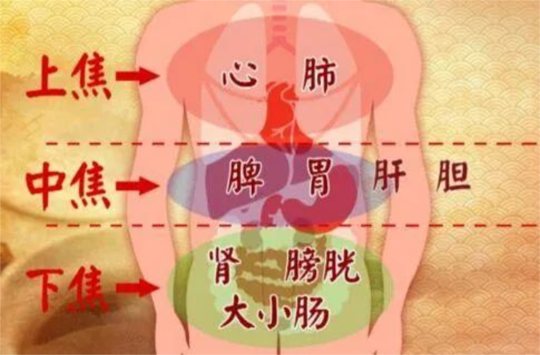 茶葉批發(fā)丨養(yǎng)生茶丨艾條的作用丨艾灸養(yǎng)生
