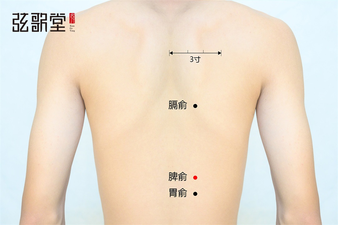 弦歌堂艾養(yǎng)生