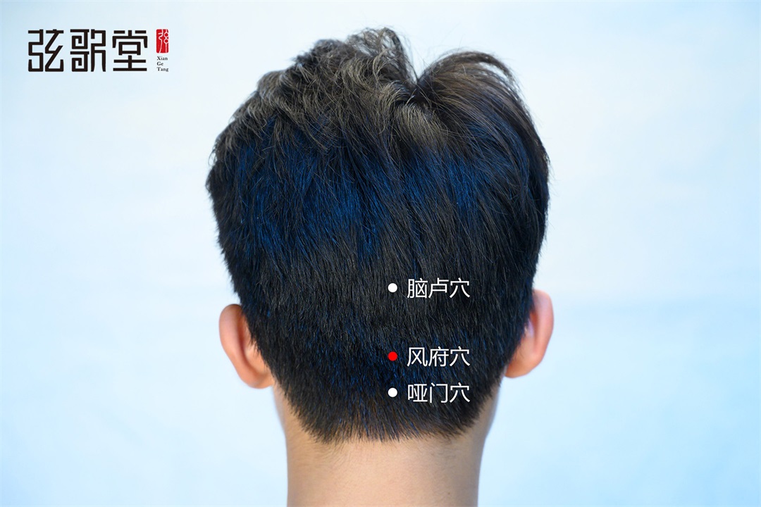 弦歌堂艾養(yǎng)生