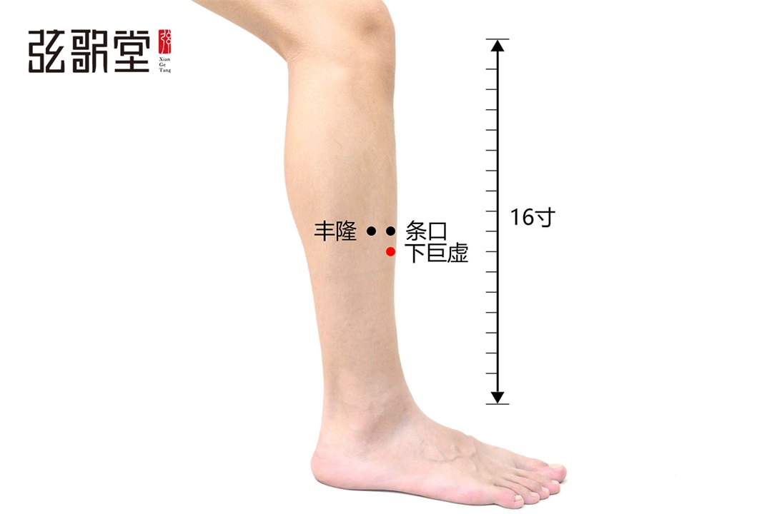 弦歌堂艾養(yǎng)生