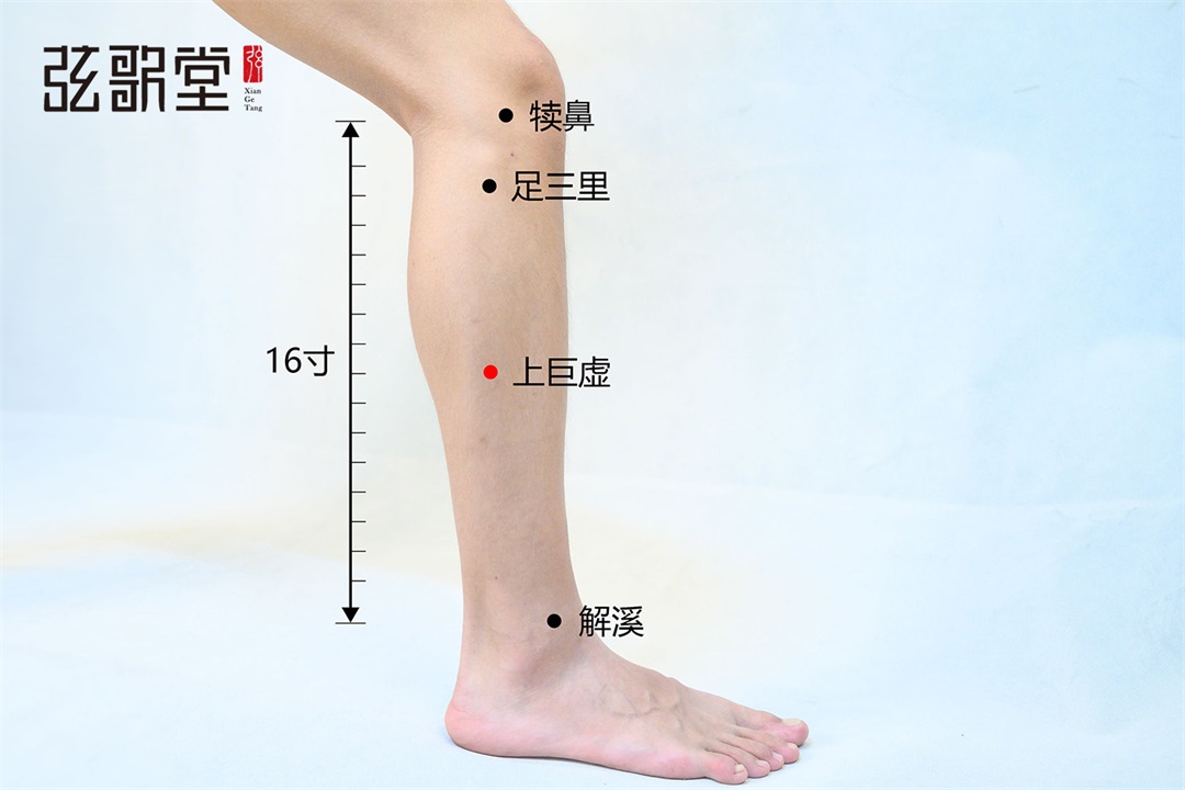 弦歌堂艾養(yǎng)生