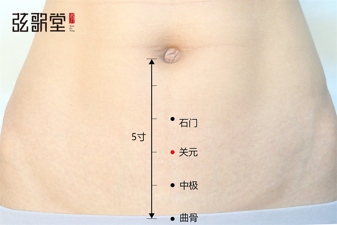 茶葉批發(fā)丨養(yǎng)生茶丨艾條的作用丨艾灸養(yǎng)生