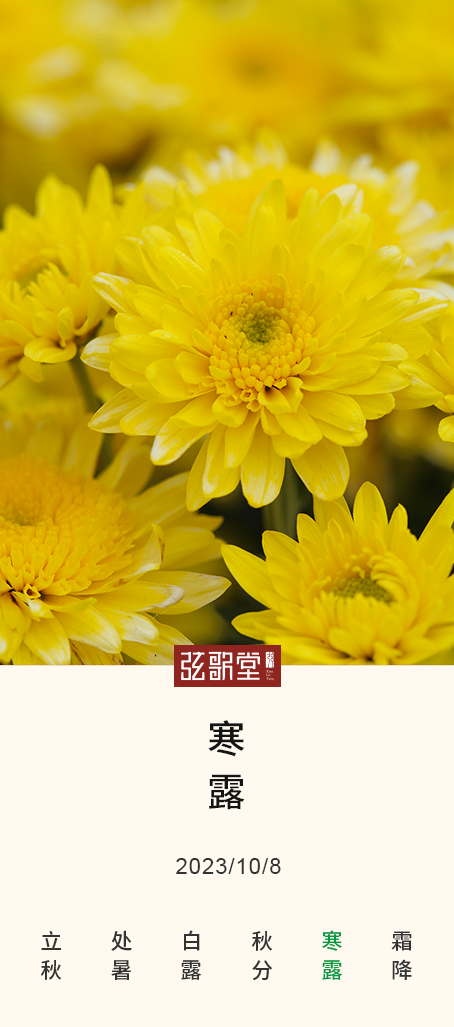 茶葉批發(fā)丨養(yǎng)生茶丨艾條的作用丨艾灸養(yǎng)生