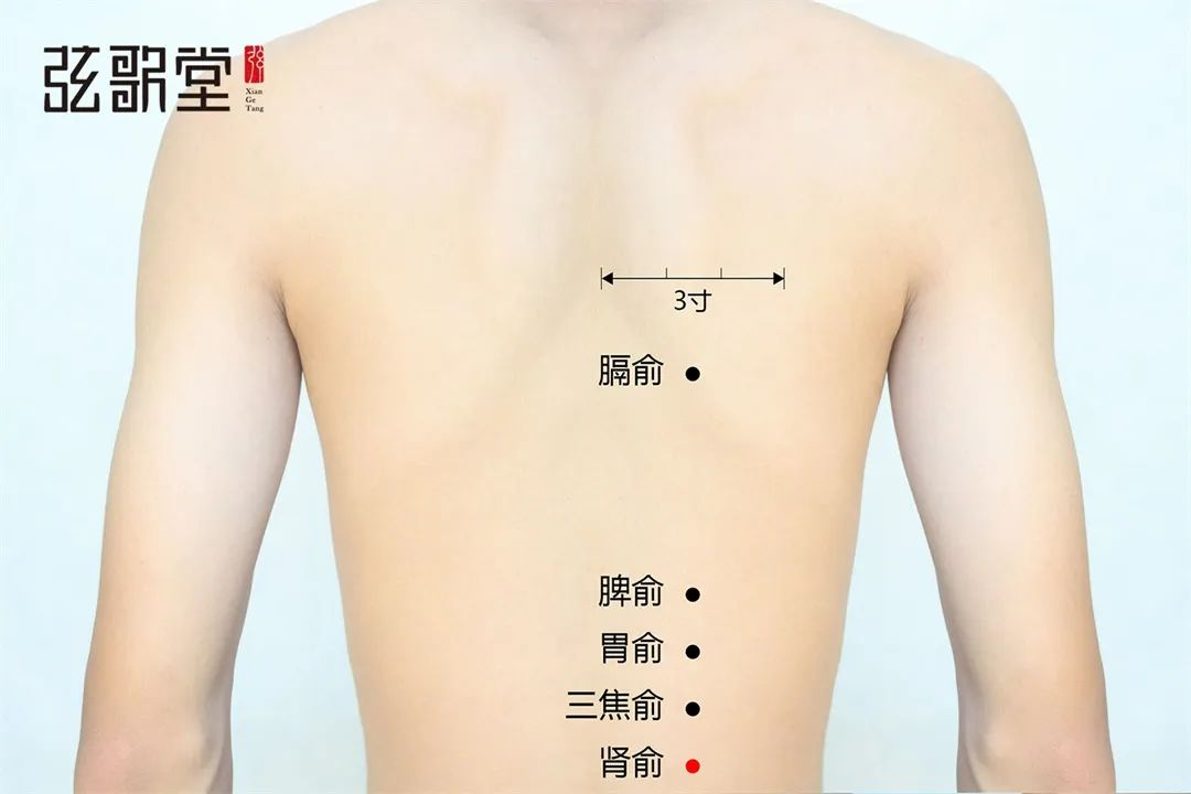 弦歌堂艾養(yǎng)生