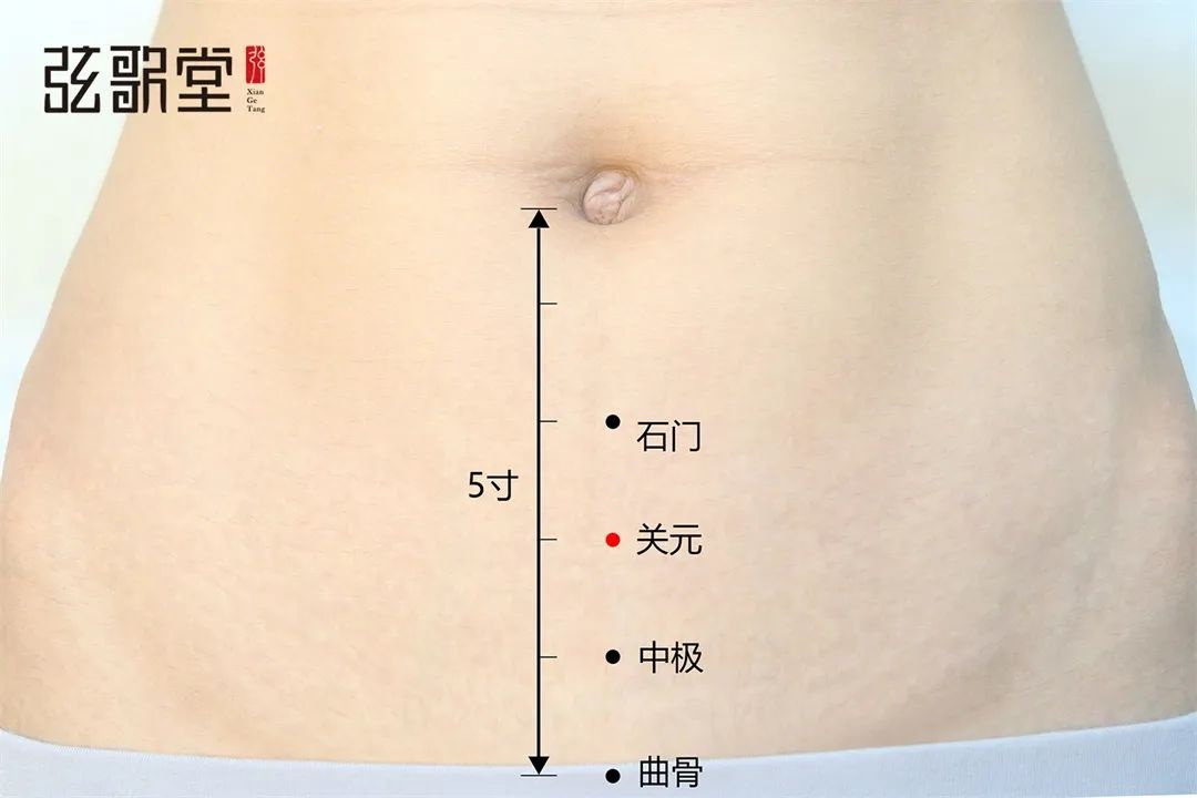 弦歌堂艾養(yǎng)生